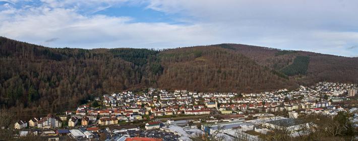 Panorama Eberbach Stadt