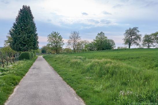 Weg nach Klingenberg