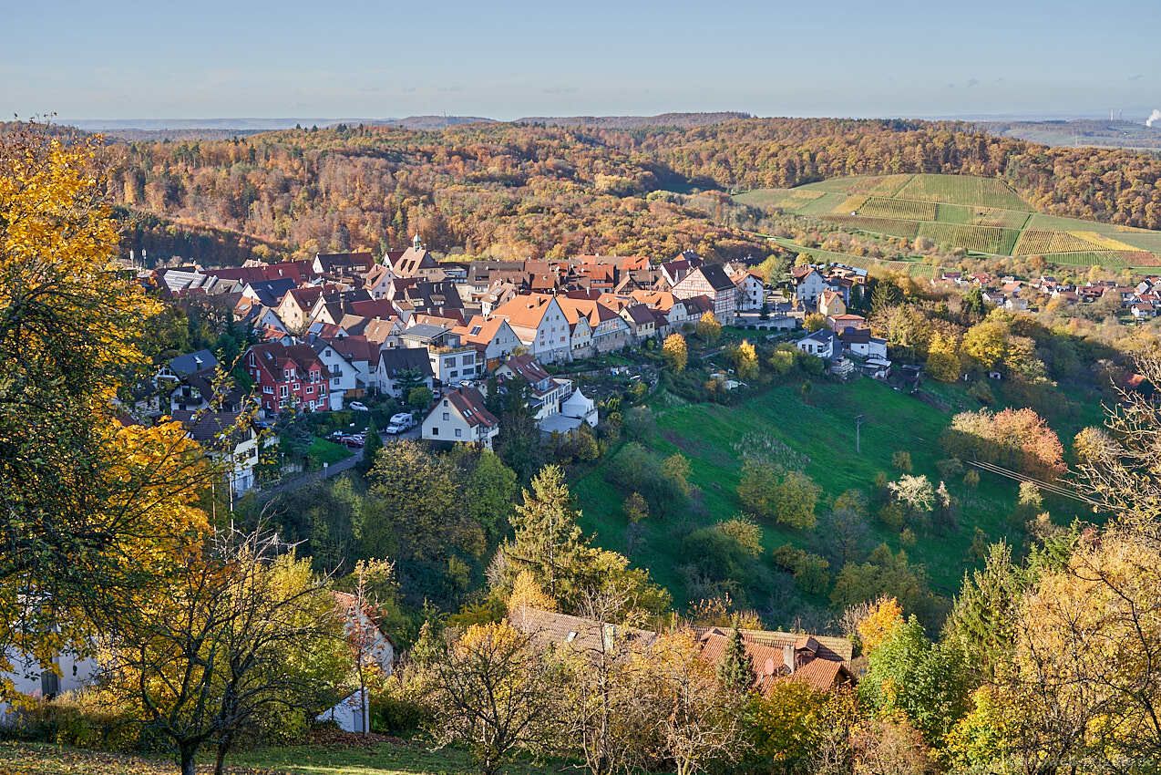 Blick auf Löwenstein