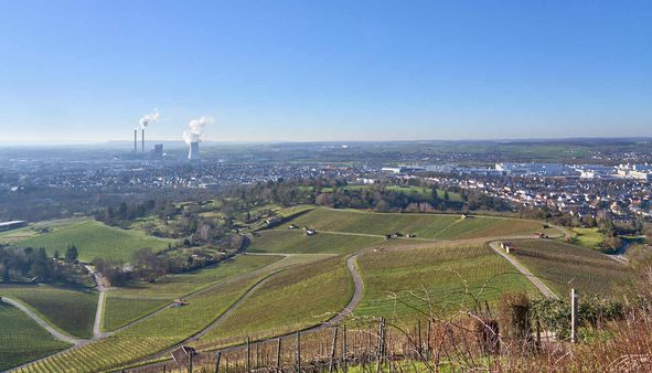 Blick vom Scheuerberg - 26. Dezember 2024