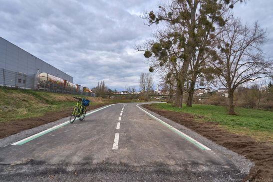 Blick Richtung Bad Wimpfen - Januar 2025