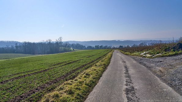 Blick zurück