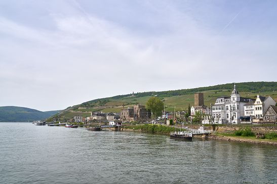 Rüdesheim