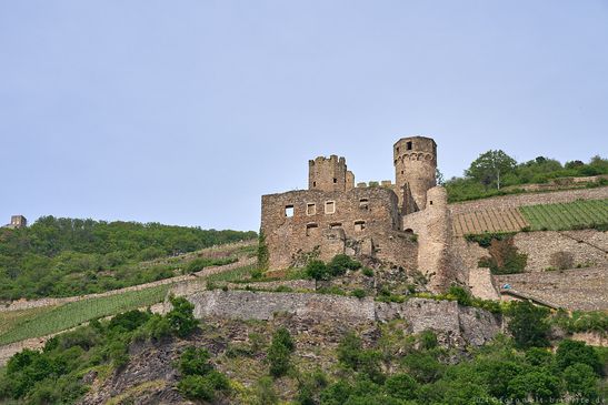 Burg Ehrenfels