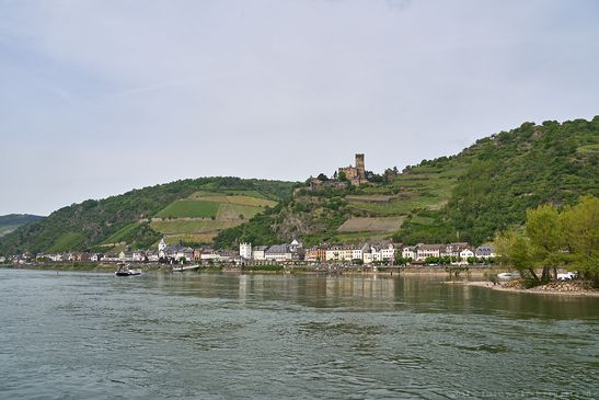 Kaub - Burg Gutenfels