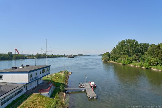 Blick zum Rhein