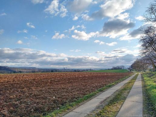 von Untergriesheim nach Oedheim