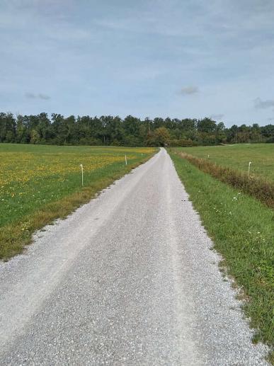 der Weg zwischen Ölhaus und Eckartshausen