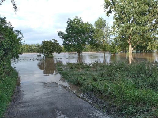 Bad Wimpfen Zufahrt bei Friesinger Mühle