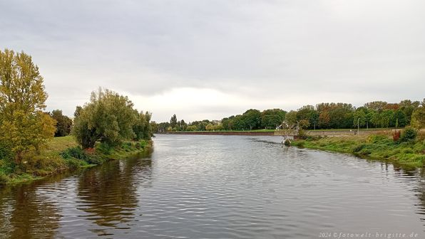 Mündung der Regen in die Donau