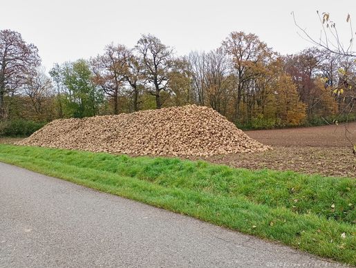 viele lagen zur Abholung bereit